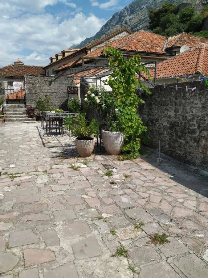 Апартаменты Villa Ivana Apartments Котор-7