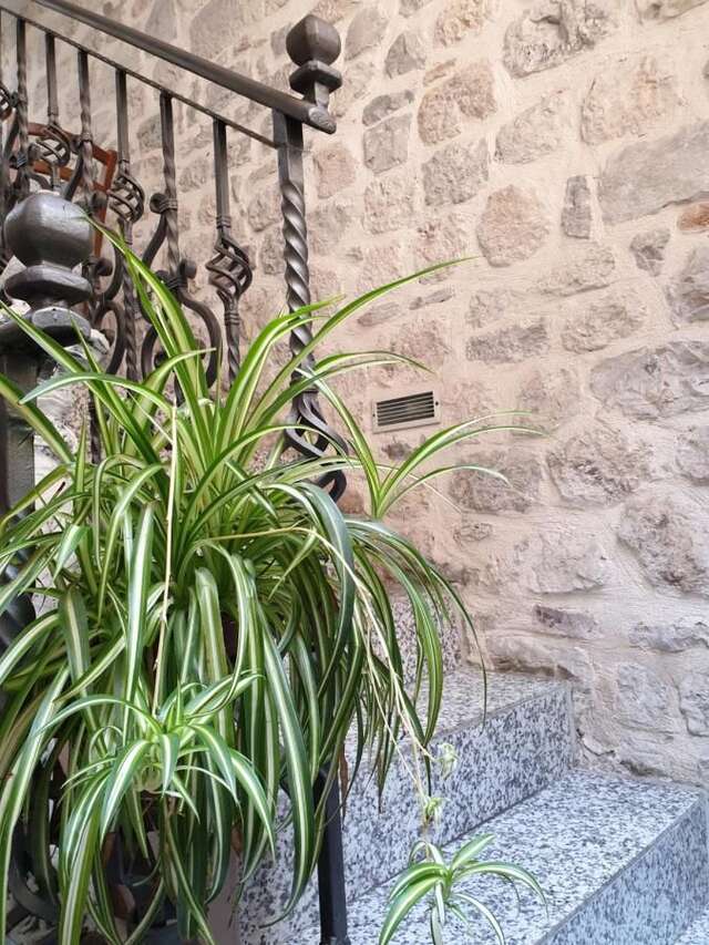 Апартаменты Villa Ivana Apartments Котор-13